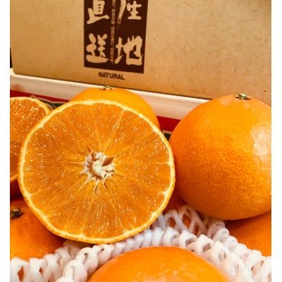 特級品 愛果28号 約3kg