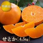 特級品 せとか 約4.5kg