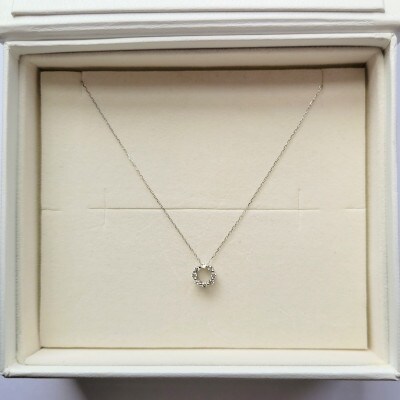 0.10ct ダイヤモンド ネックレス サークル PT900 | 愛媛県松山市 