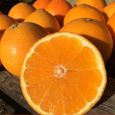 家庭用 あいか 愛果 5kg