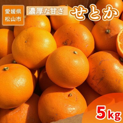 【2026年2月中旬から順次発送】 家庭用 せとか 5kg