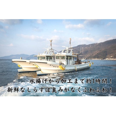 鬼が選んだ釜あげしらす