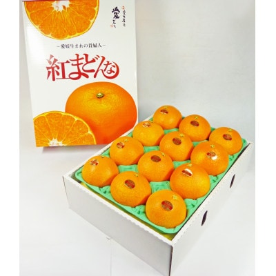 紅まどんな 青秀以上  約3kg JAえひめ中央