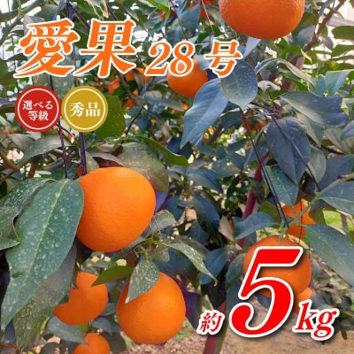 【先行予約】トロトロの果肉!あいか 約5kg 秀品(愛果28号)