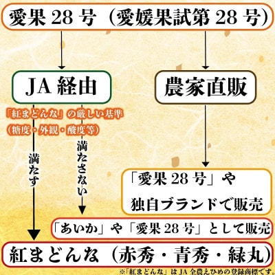 【先行予約】トロトロの果肉!あいか 約5kg 秀品(愛果28号)