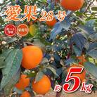 【先行予約】トロトロの果肉!あいか 約5kg 家庭用(愛果28号)