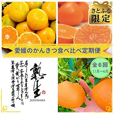 【発送月固定定期便】【さとふる限定】人気!松山市産 フルーツ食べ比べ全6回