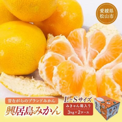 【11月下旬頃より順次発送】興居島みかん 約6kg(L～Sサイズ)