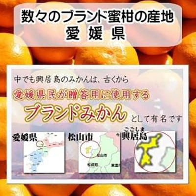 【11月下旬頃より順次発送】興居島みかん 約6kg(L～Sサイズ)