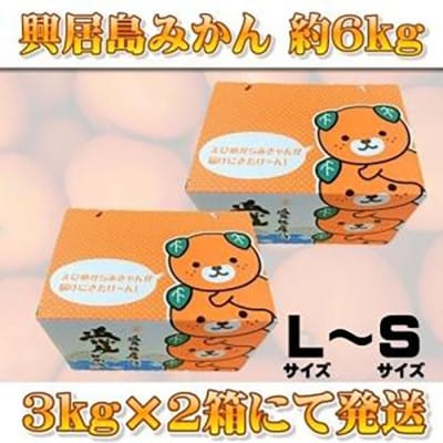 【11月下旬頃より順次発送】興居島みかん 約6kg(L～Sサイズ)