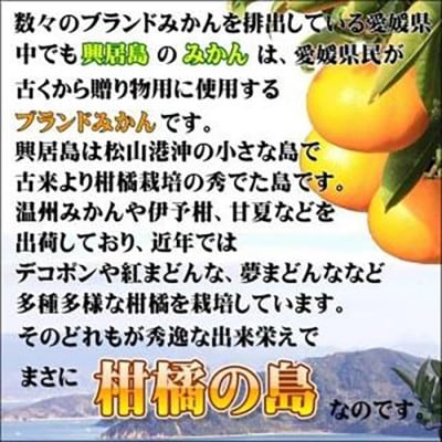 【11月下旬頃より順次発送】興居島みかん 約6kg(L～Sサイズ)