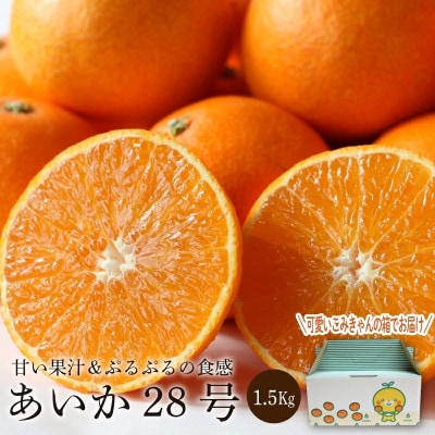 あいか28号　1.5kg