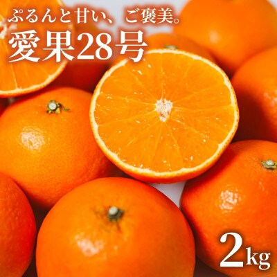 【先行予約】【2025年11月下旬頃順次発送】 あいか28号 2kg(6玉～10玉程度)