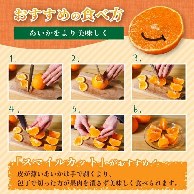 【先行予約】【2025年11月下旬頃順次発送】 あいか28号 2kg(6玉～10玉程度)