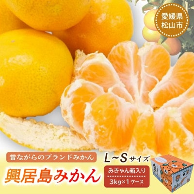 【先行予約】【2025年11月下旬より順次発送】興居島みかん 約3kg(L~Sサイズ)