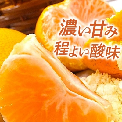 【先行予約】【2025年11月下旬より順次発送】興居島みかん 約3kg(L~Sサイズ)