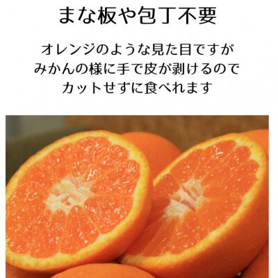 【先行予約】【2025年12月下旬より順次発送】はれひめ 約2.5kg 2L～Sサイズ