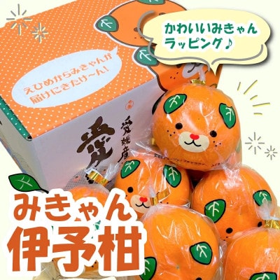 【先行予約】【2026年2月上旬〜2月下旬頃発送】 みきゃんいよかん 約2kg (8玉or10玉)