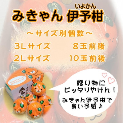 【先行予約】【2026年2月上旬~2月下旬頃発送】 みきゃんいよかん 約2kg (8玉or10玉)