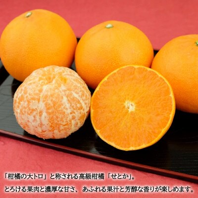 【先行予約】【2026年2月下旬～順次発送】 せとか 約1.5kg(M～3L)