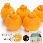 【先行予約】【2026年3月中旬~順次発送】 神ポン(デコポンと同品種) 約1kg(4玉~6玉程度)