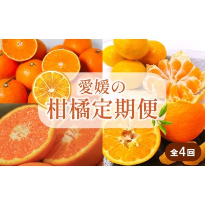 【発送月固定定期便】柑橘(興居島みかん あいか28号 はれひめ いよかん)全4回