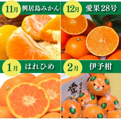 【発送月固定定期便】柑橘(興居島みかん あいか28号 はれひめ いよかん)全4回