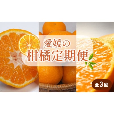 【発送月固定定期便】柑橘(せとか 神ポン カラマンダリン)全3回