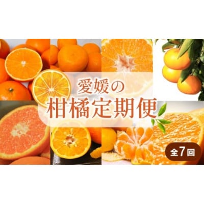 【発送月固定定期便】興居島みかん あいか はれひめ いよかん せとか 神ポン カラマンダリン全7回