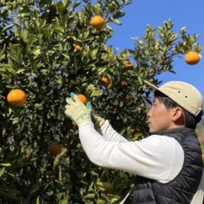 宮内伊予柑皮ごとストレート720ml×2本・トニックウォーター200ml×2本セット