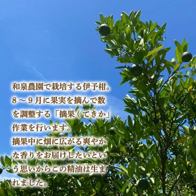 いよかん 精油3ml &アロマウッドセット 『 IYOKAN-摘果- 』