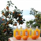 【毎月定期便】ちゅうちゅうゼリー5個　全3回