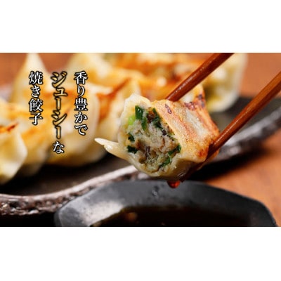 【ミシュラン愛媛2018掲載】点心専門店の手づくり焼き餃子90個(タレ・作り方付き)