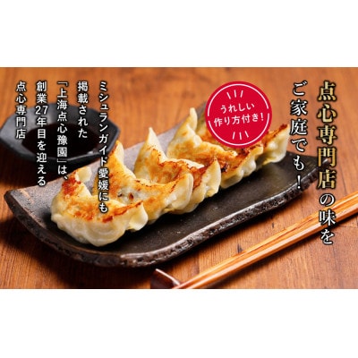 【ミシュラン愛媛2018掲載】点心専門店の手づくり焼き餃子90個(タレ・作り方付き)