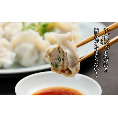 【ミシュラン愛媛2018掲載】点心専門店の手づくり水餃子30個(タレ・作り方付き)