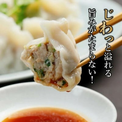 【 ミシュランガイド掲載 】 焼き餃子・水餃子セット 各15個入り セット(タレ・作り方付き)