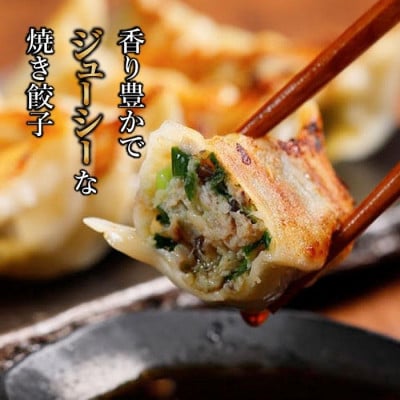 【 ミシュランガイド掲載 】 焼き餃子・水餃子セット 各15個入り セット(タレ・作り方付き)