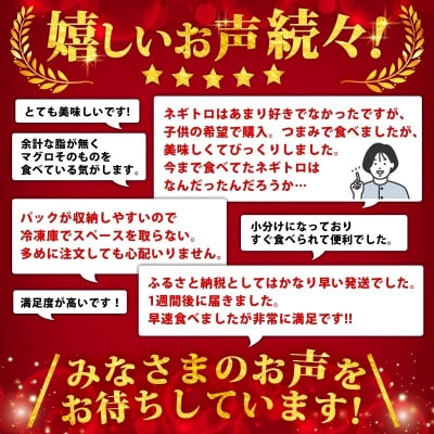 【毎月定期便】ネギトロ 月1回 800g (100g×8パック) 小分け全3回