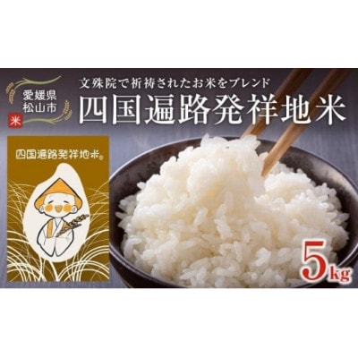 【先行予約】四国遍路発祥地米 愛媛の美味しいお米「 ひめの凜」(5kg)
