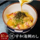愛媛県産 宇和海鯛めし2人前×5パック(10人前)