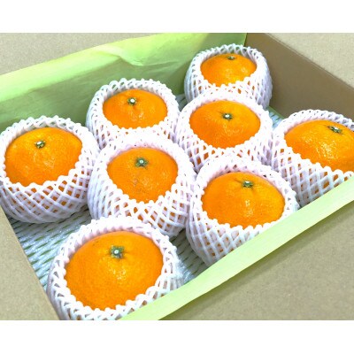 愛果28号 優品以上 2.5kg 8〜10玉 サイズ2L〜3L