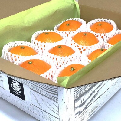 愛果28号 優品以上 2.5kg 8～12玉 サイズL～3L