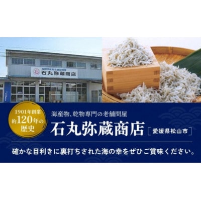 愛媛県産 贅沢 旬しらす 200g×4