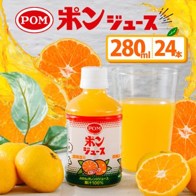 ポンジュース ペットボトル 280ml×24本