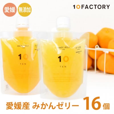 愛媛みかんゼリー 16個詰め合わせ
