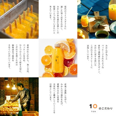 愛媛みかん 果汁100%ストレートジュースとゼリーのギフトセット(200mlx10本+ゼリー14個)