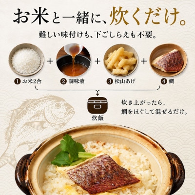 【FCT026】鯛めしの素[紅]AKA-松山風-(2合炊き)#通年#