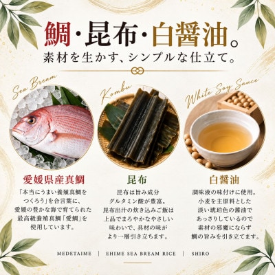 【FCT027】鯛めしの素[白]SHIRO-北条風-(2合炊き)#通年#