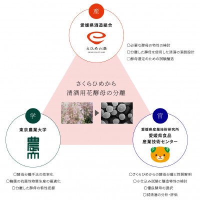華姫桜純米大吟醸酒SAKURAHIME 近藤酒造株式会社