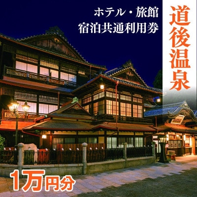 旅館共通利用券　10,000円分
